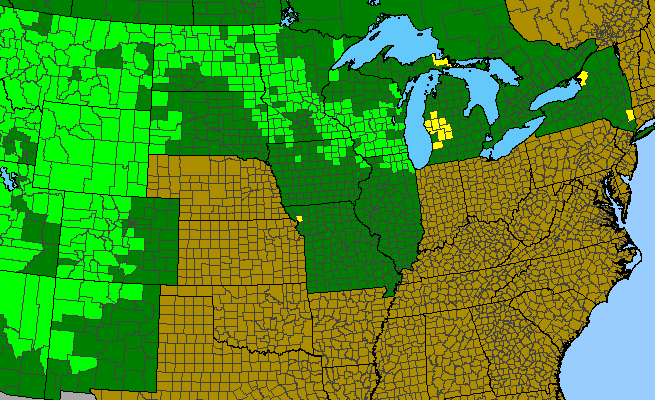 The range of Geum triflorum